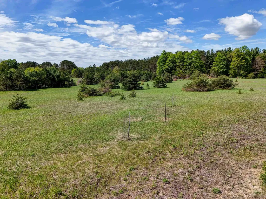00 Sugarpine Lane Almira Township MI 49650