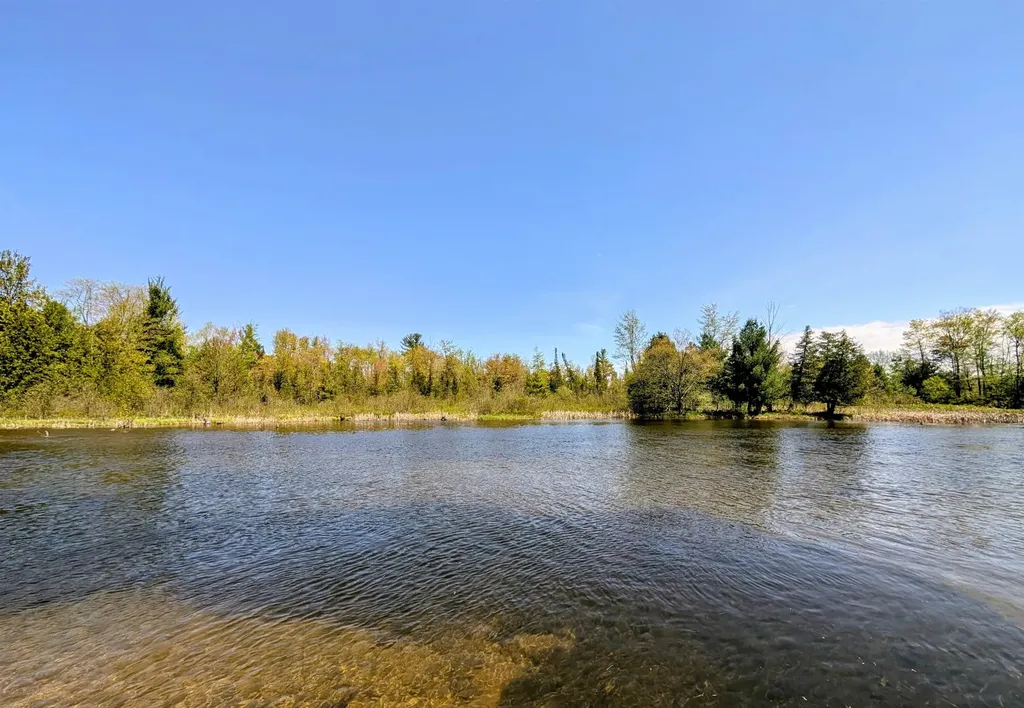 704 Green Acres Forest Home Township MI 49615