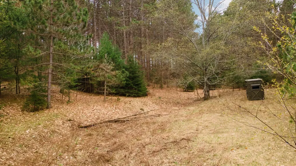3695 W Timber Lane Kasson Township MI 49630