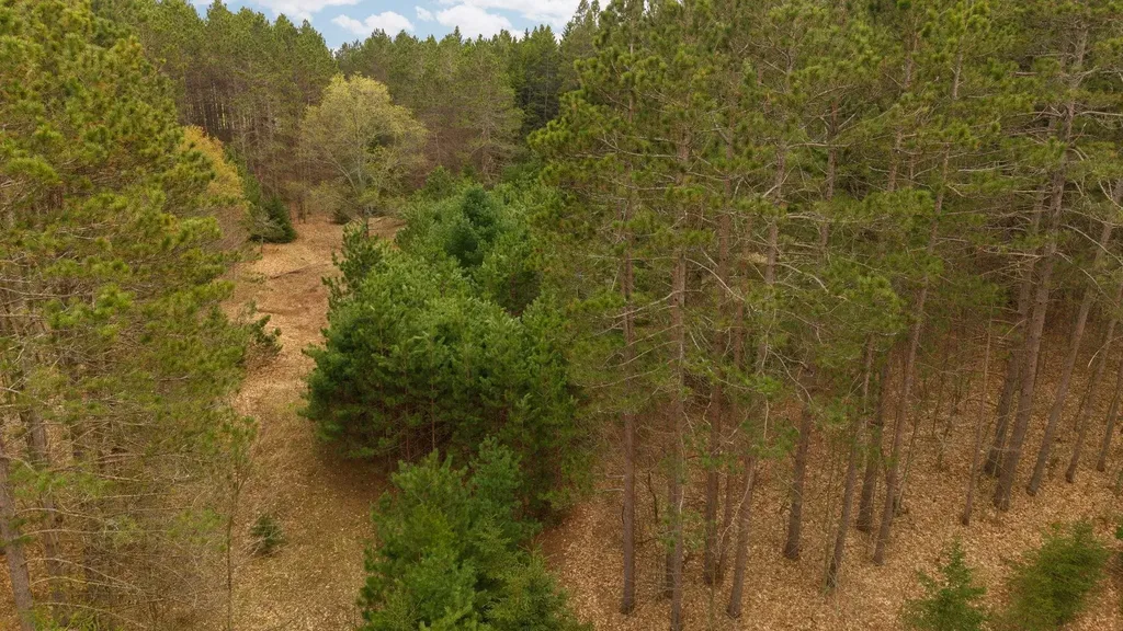 3695 W Timber Lane Kasson Township MI 49630