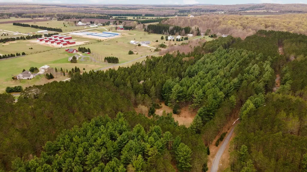 3695 W Timber Lane Kasson Township MI 49630