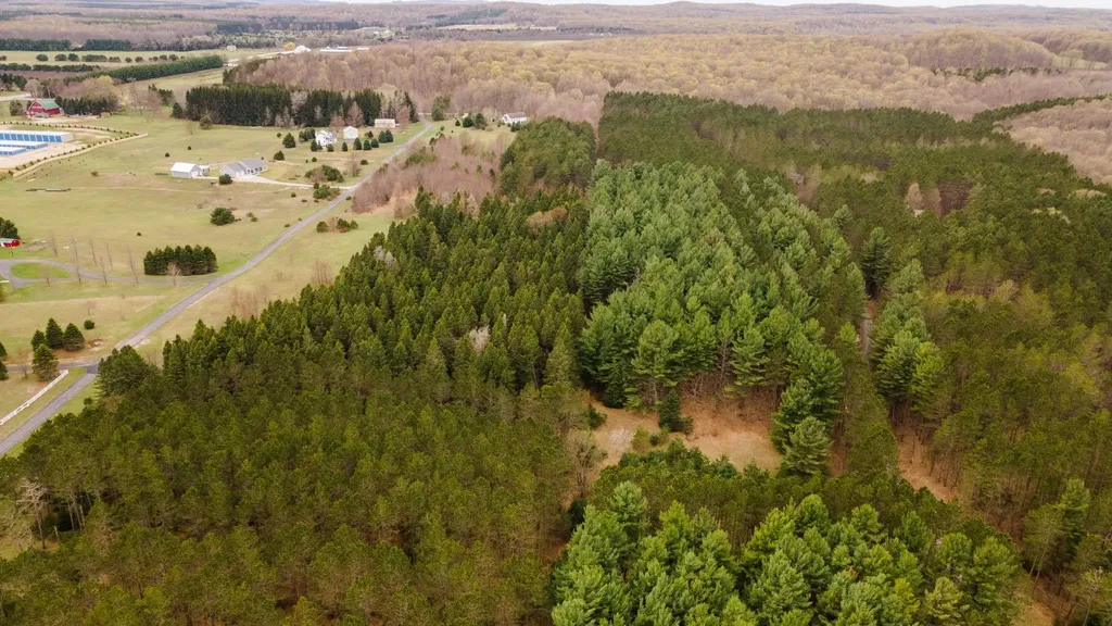 3695 W Timber Lane Kasson Township MI 49630