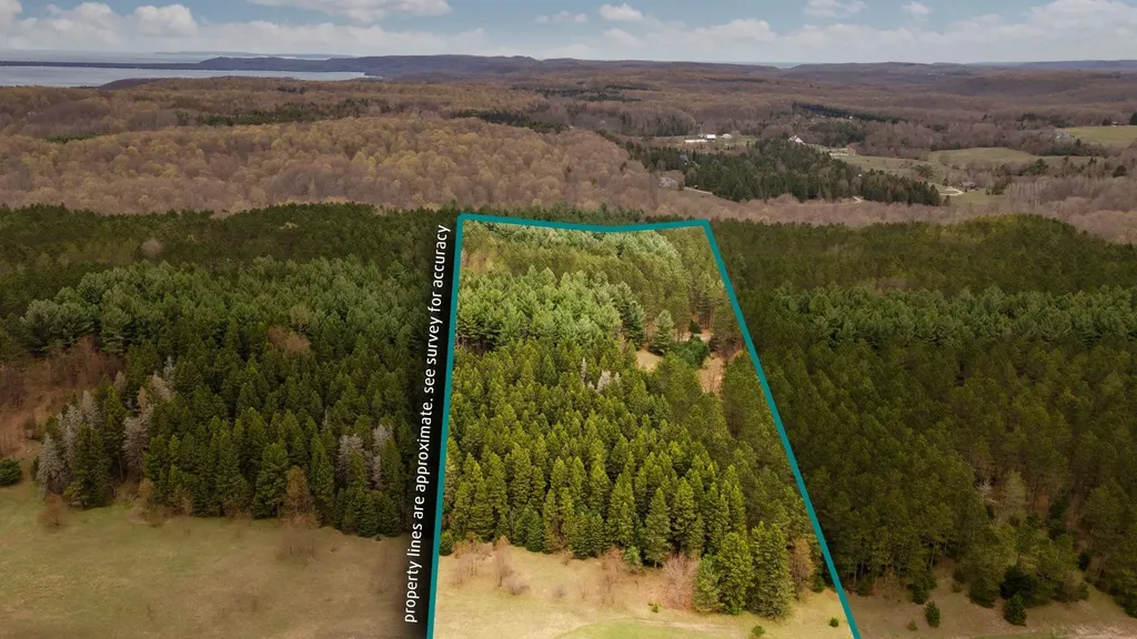 3695 W Timber Lane Kasson Township MI 49630