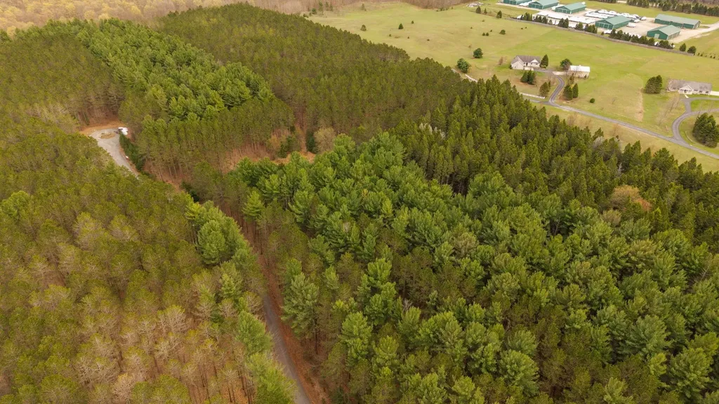 3695 W Timber Lane Kasson Township MI 49630