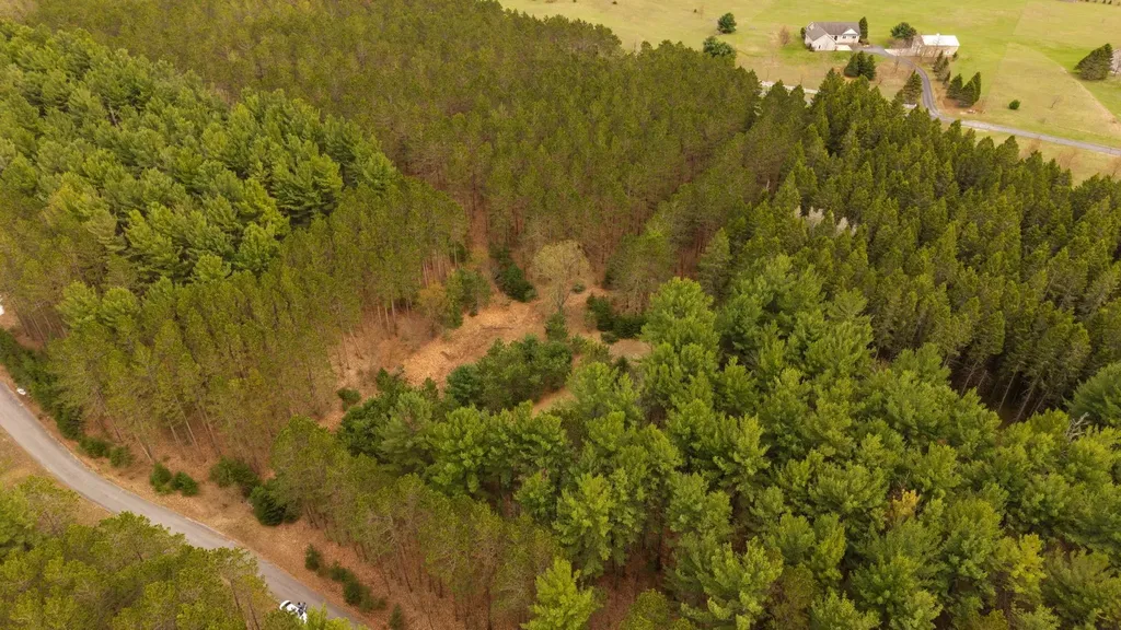 3695 W Timber Lane Kasson Township MI 49630