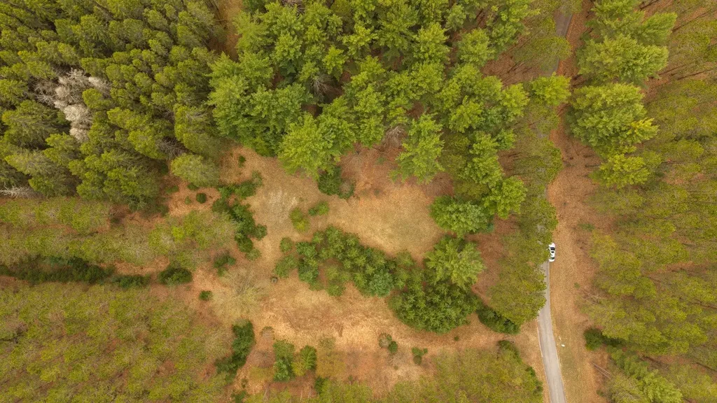 3695 W Timber Lane Kasson Township MI 49630