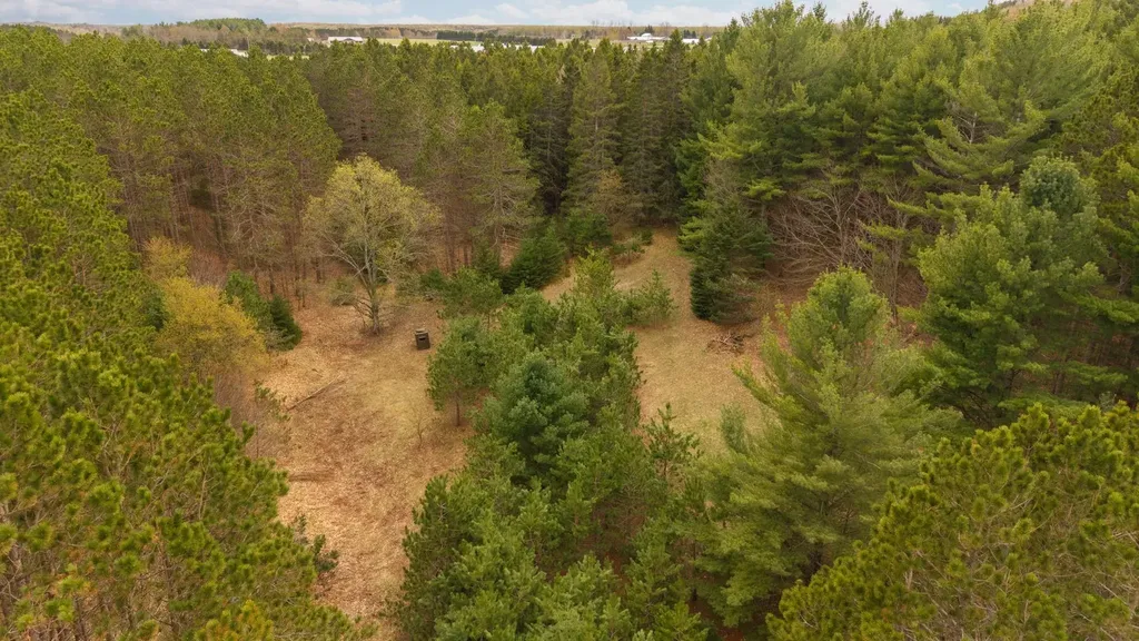 3695 W Timber Lane Kasson Township MI 49630