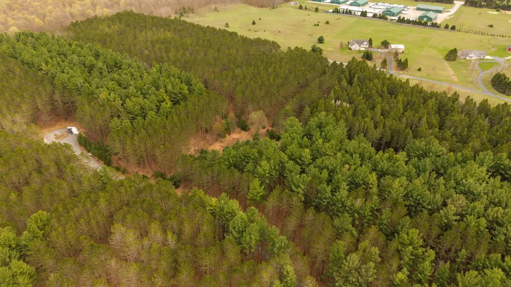 3695 W Timber Lane Kasson Township MI 49630