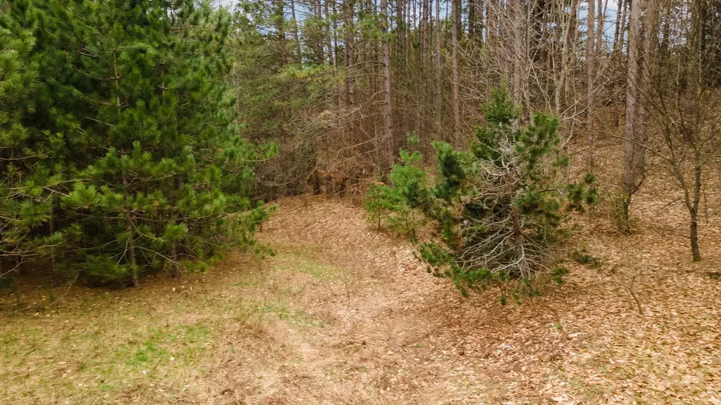 3695 W Timber Lane Kasson Township MI 49630