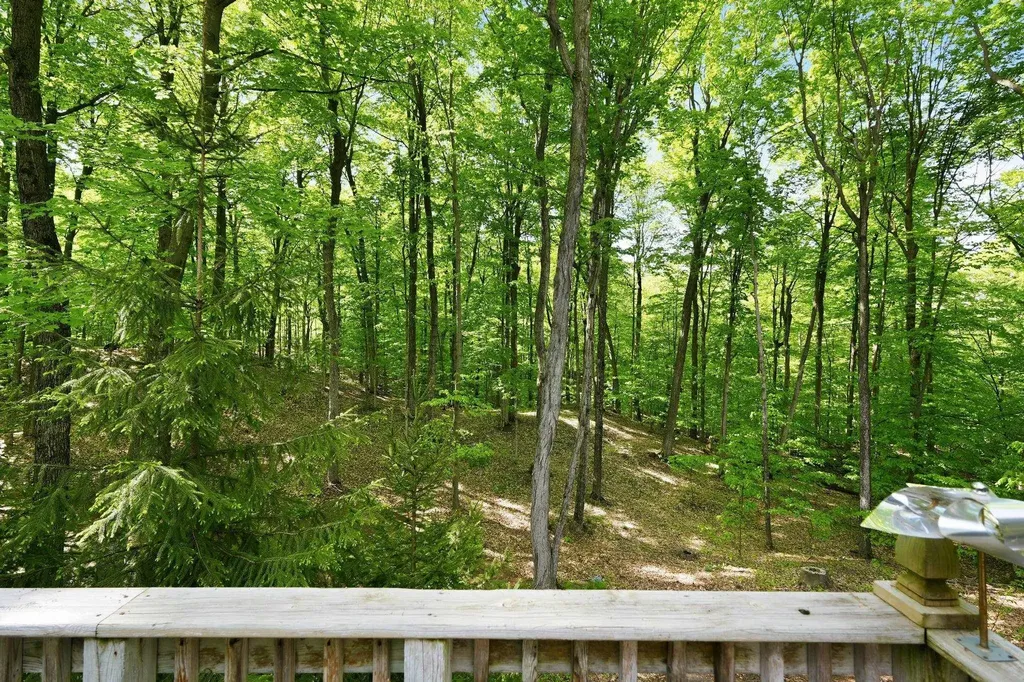 10481 S Monaco Way Elmwood Charter Township MI 49684