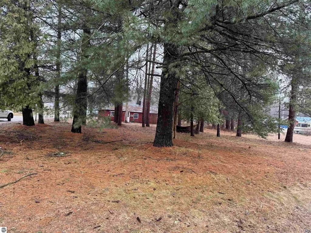 3105 N 3 1/4 Road Springville Township MI 49668