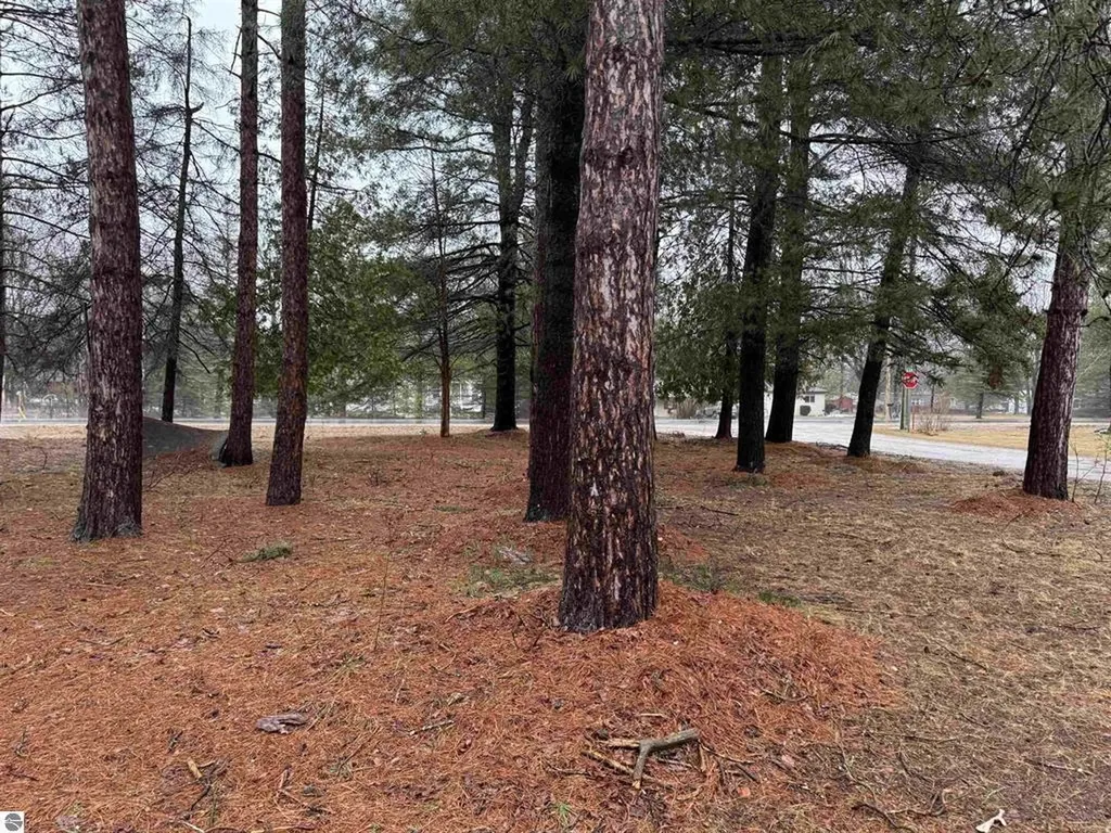 3105 N 3 1/4 Road Springville Township MI 49668