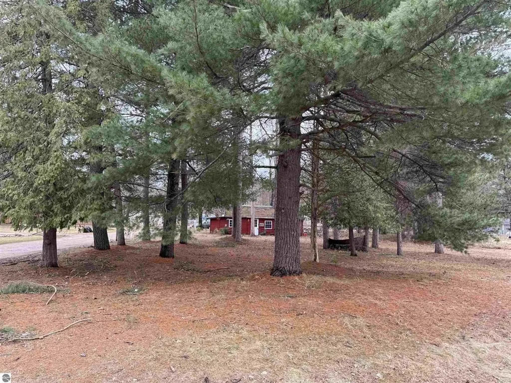 3105 N 3 1/4 Road Springville Township MI 49668