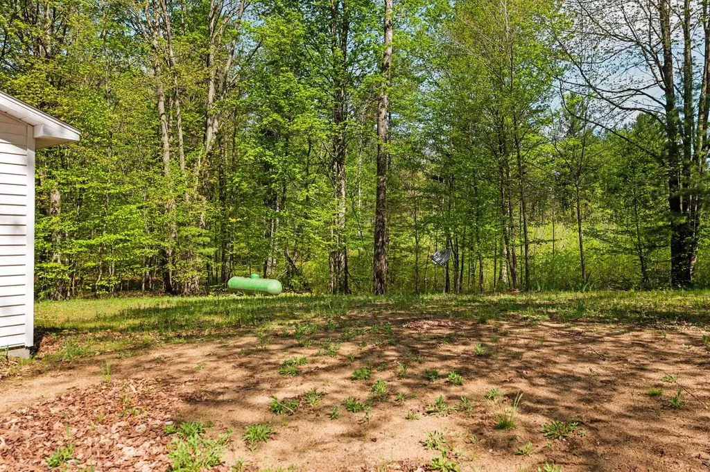 3936 Jeri Road Inland Township MI 49643