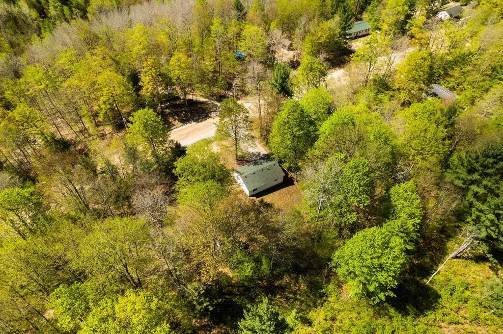 3936 Jeri Road Inland Township MI 49643