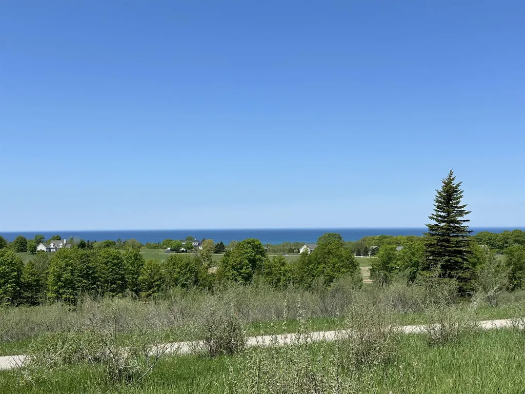 3 Foxview Drive Norwood Township MI 49720