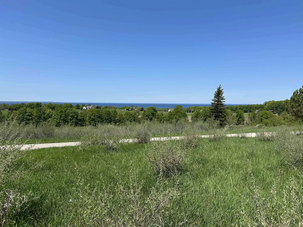 3 Foxview Drive Norwood Township MI 49720