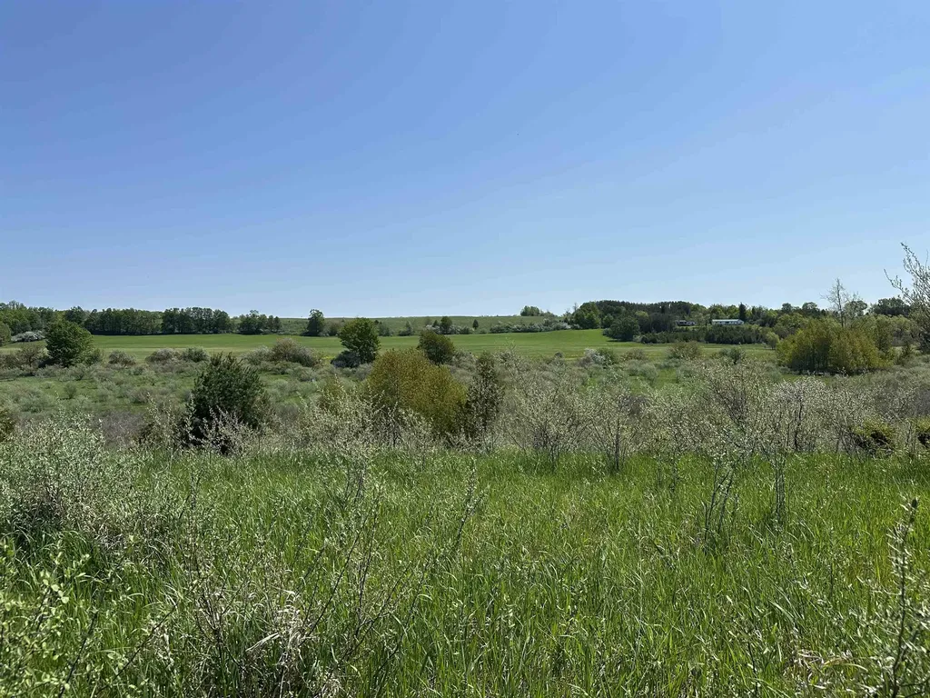 3 Foxview Drive Norwood Township MI 49720