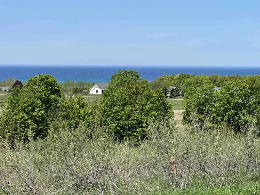 3 Foxview Drive Norwood Township MI 49720