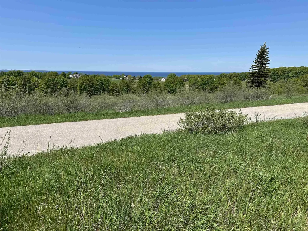 3 Foxview Drive Norwood Township MI 49720