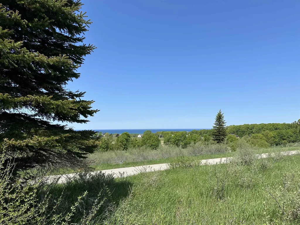 3 Foxview Drive Norwood Township MI 49720