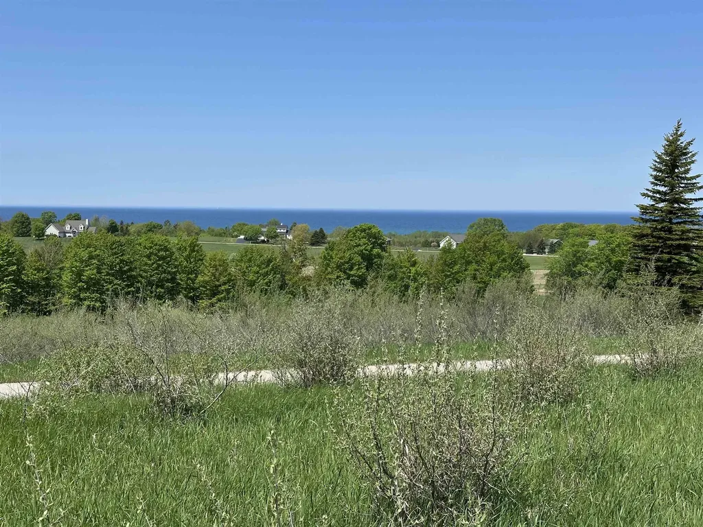 3 Foxview Drive Norwood Township MI 49720