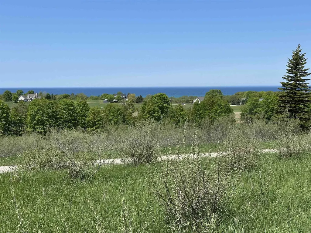 3 Foxview Drive Norwood Township MI 49720