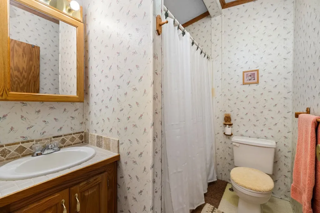 10908 Vans Lane Fife Lake Township MI 49633
