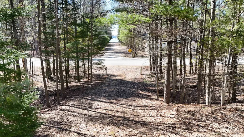 2088 E Higgins Lake Drive Gerrish Township MI 48653