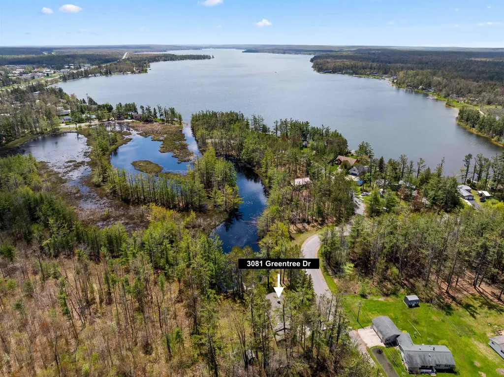 3081 Greentree Drive Bagley Township MI 49735
