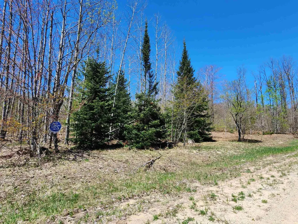 454 & 455 Pleasant Ridge Drive Mancelona Township MI 49659