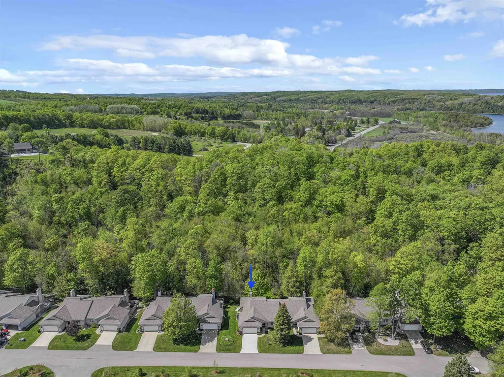 12040 S Elk Run Elmwood Charter Township MI 49684
