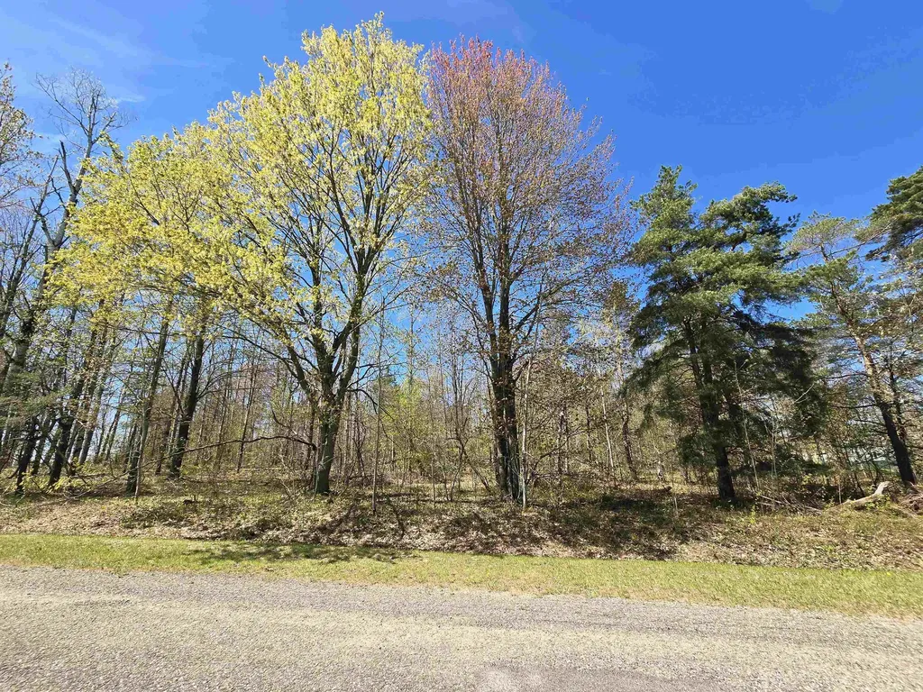 235 Country Club Drive Mancelona Township MI 49569