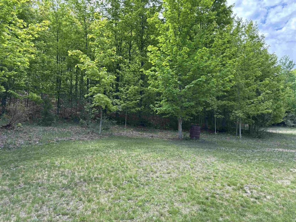 9364 N Manitou Trail Unknown City MI 49670
