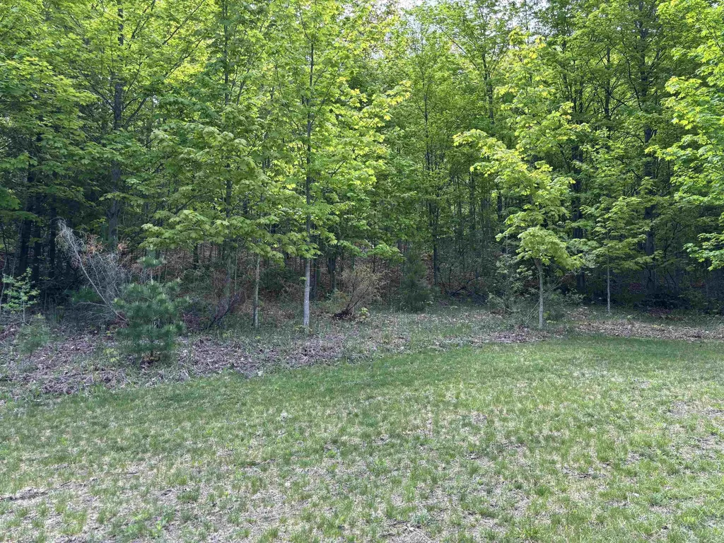 9364 N Manitou Trail Unknown City MI 49670