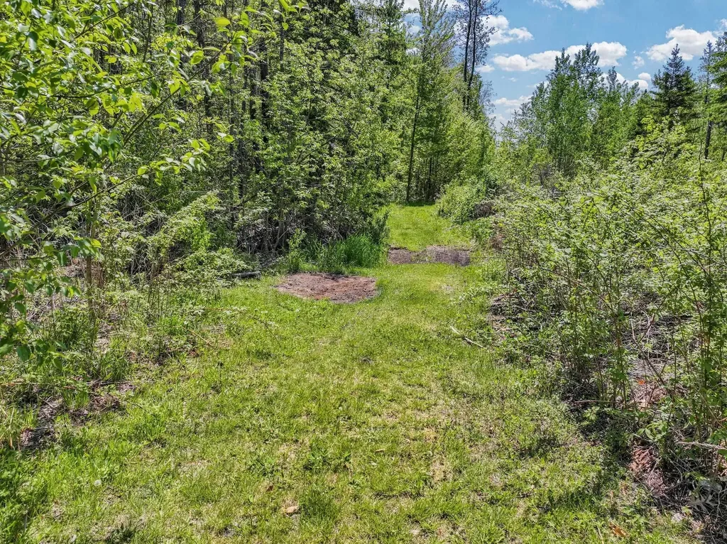 9330 E 10 1/2 Road Liberty Township MI 49663