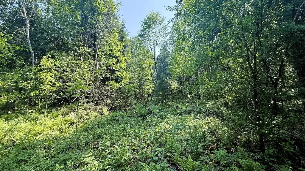 Tbd Old State Road Jordan Township MI 49727