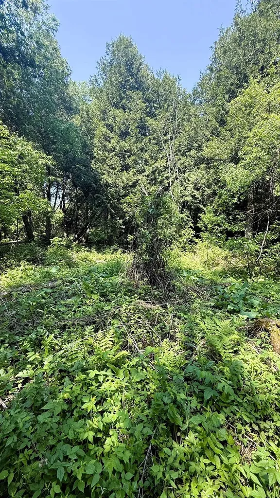 Tbd Old State Road Jordan Township MI 49727