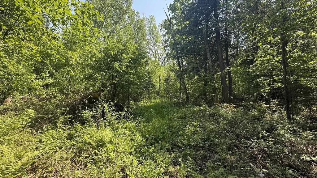 Tbd Old State Road Jordan Township MI 49727
