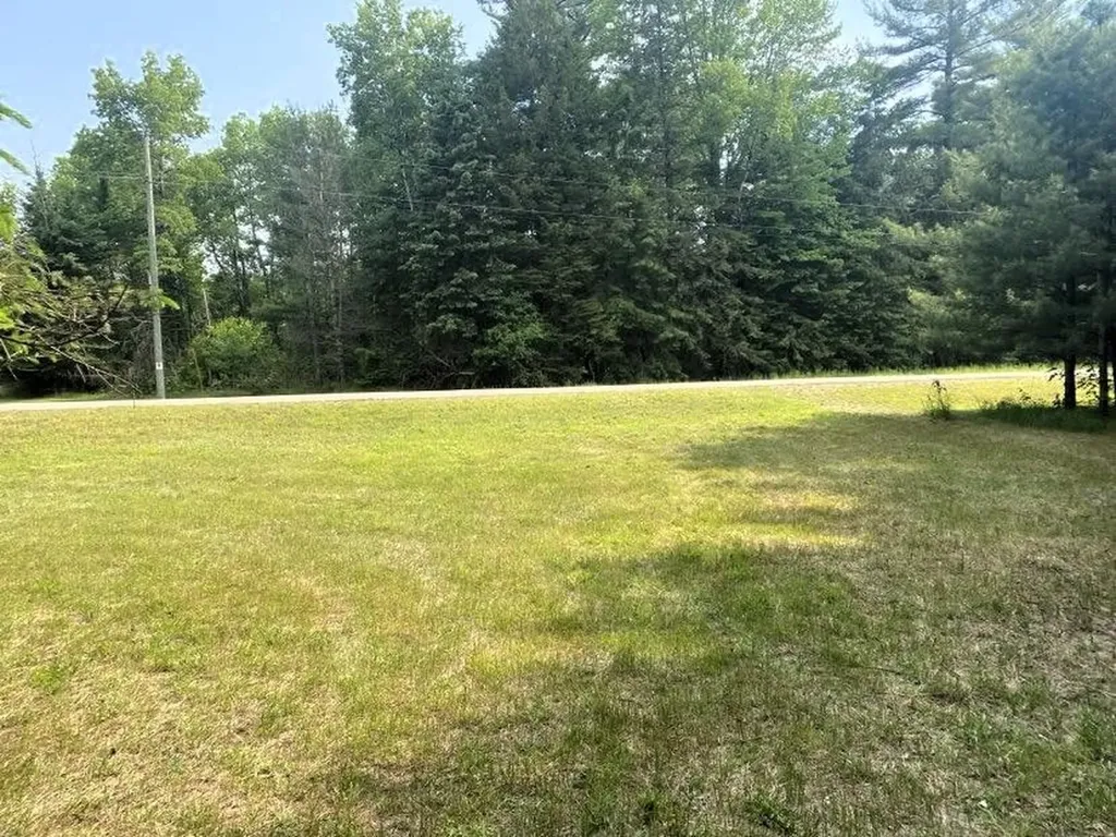 Tbd Old State Road Jordan Township MI 49727
