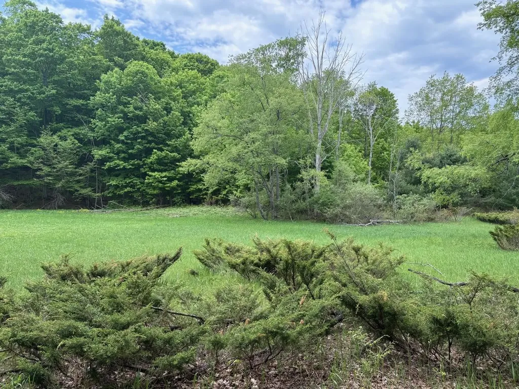 13631 S Beaver Pond Road Empire Township MI 49630