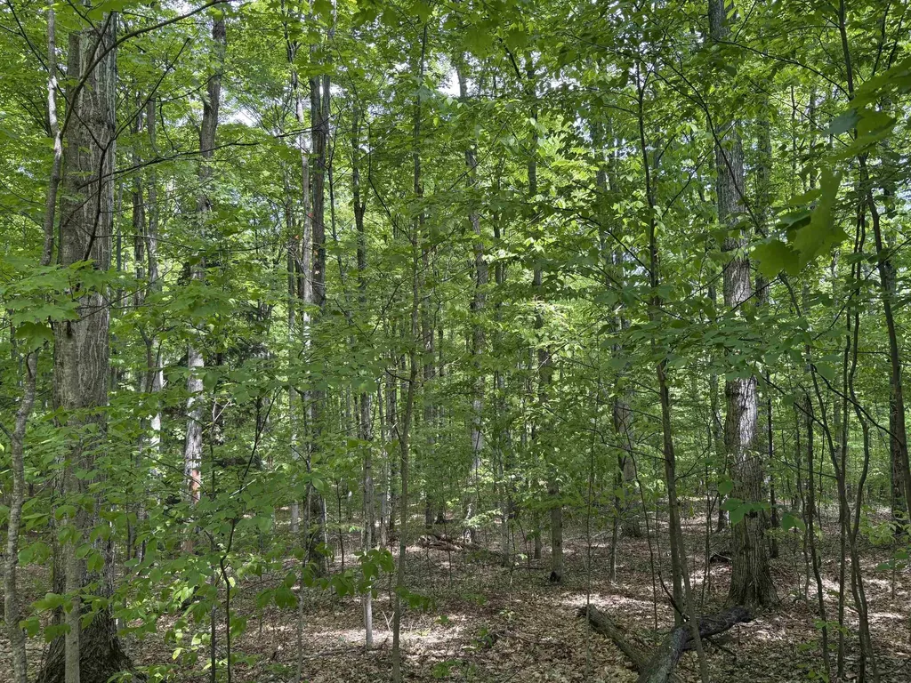 13631 S Beaver Pond Road Empire Township MI 49630