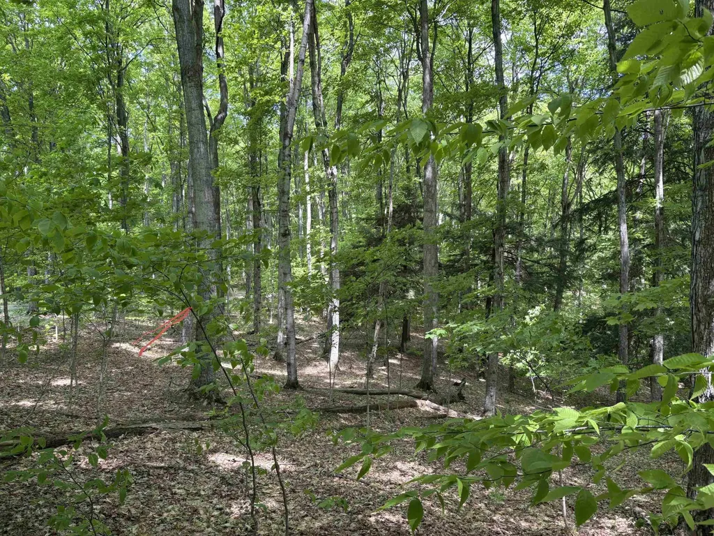 13631 S Beaver Pond Road Empire Township MI 49630