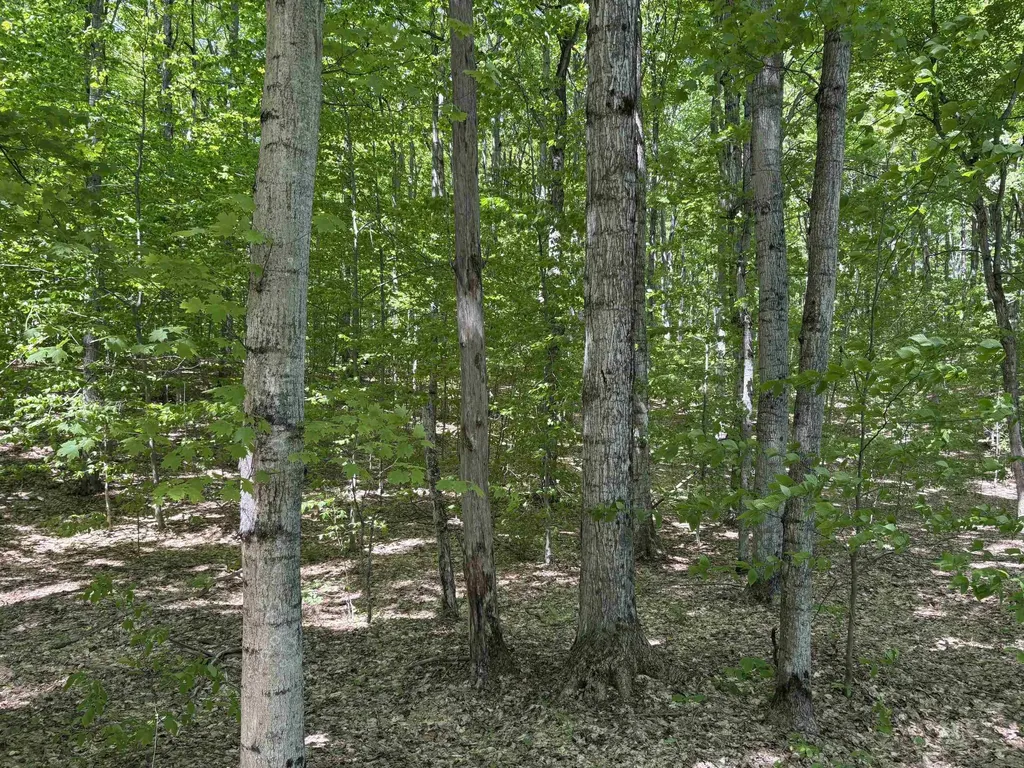 13631 S Beaver Pond Road Empire Township MI 49630