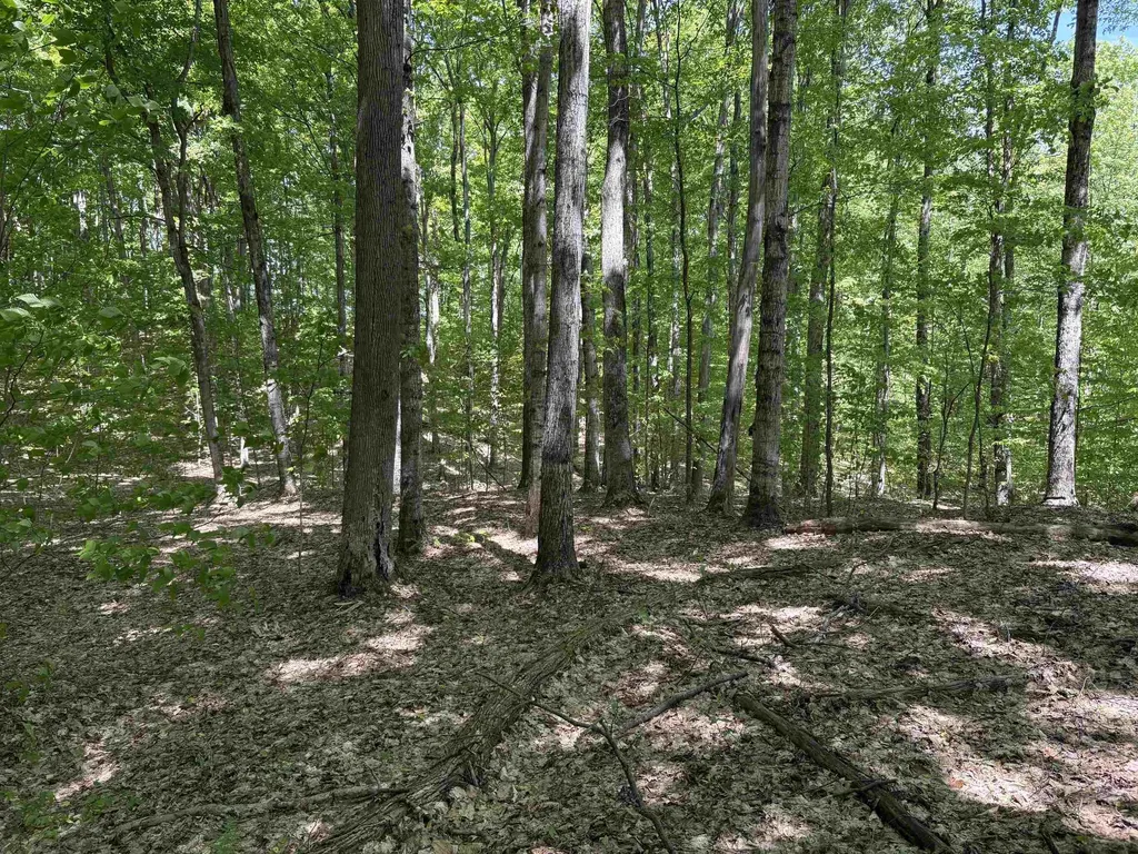 13631 S Beaver Pond Road Empire Township MI 49630