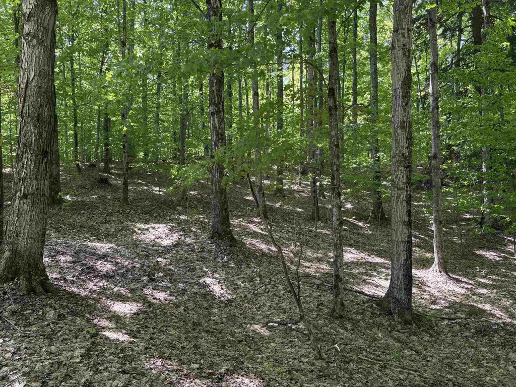 13631 S Beaver Pond Road Empire Township MI 49630