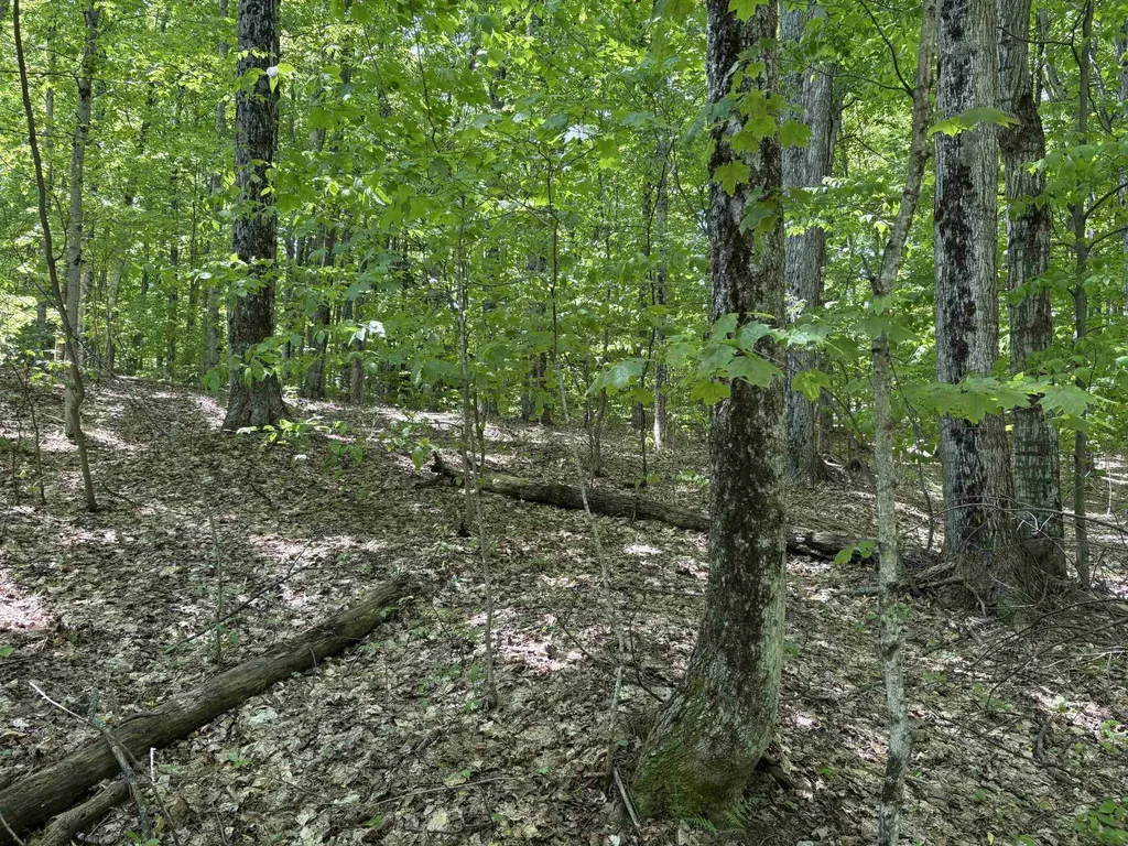 13631 S Beaver Pond Road Empire Township MI 49630