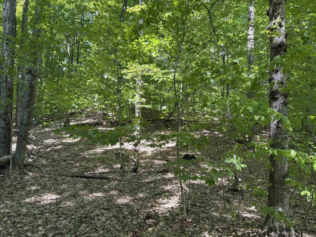 13631 S Beaver Pond Road Empire Township MI 49630