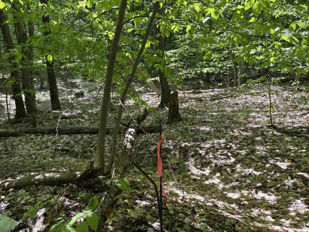 13631 S Beaver Pond Road Empire Township MI 49630