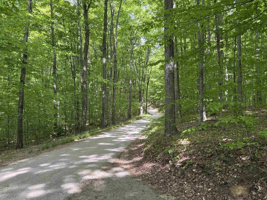 13631 S Beaver Pond Road Empire Township MI 49630